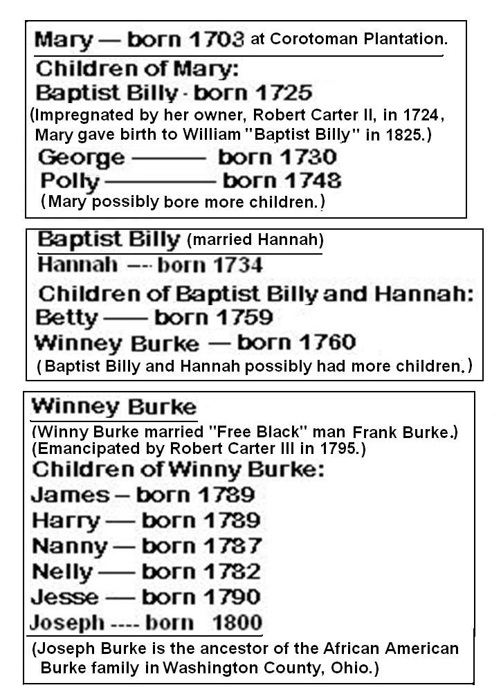 burkegenalogy.jpg